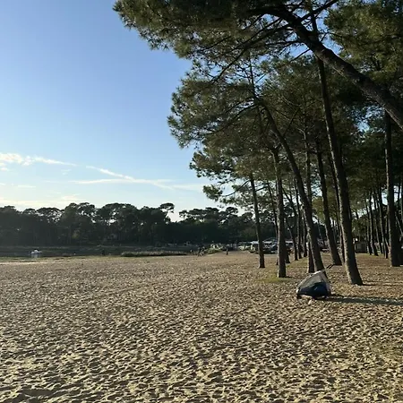 Ξενοδοχείο Paloma 2*