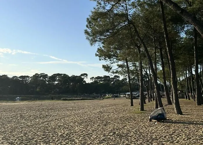 Hotel Paloma 2*
