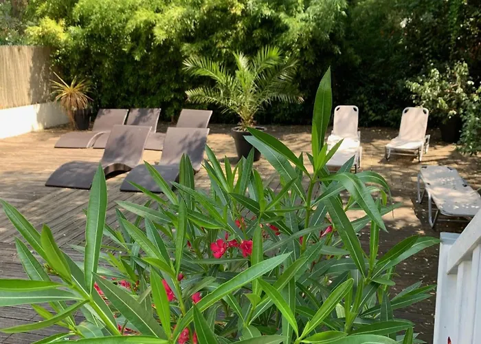 Hotel Paloma 2*